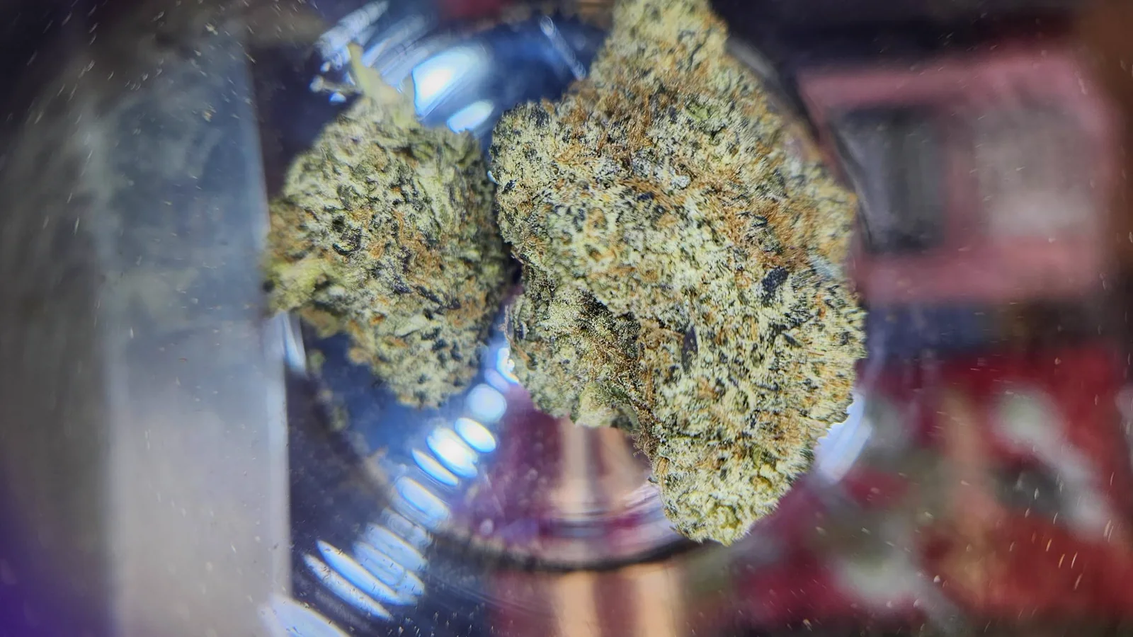 THCA flower, up close