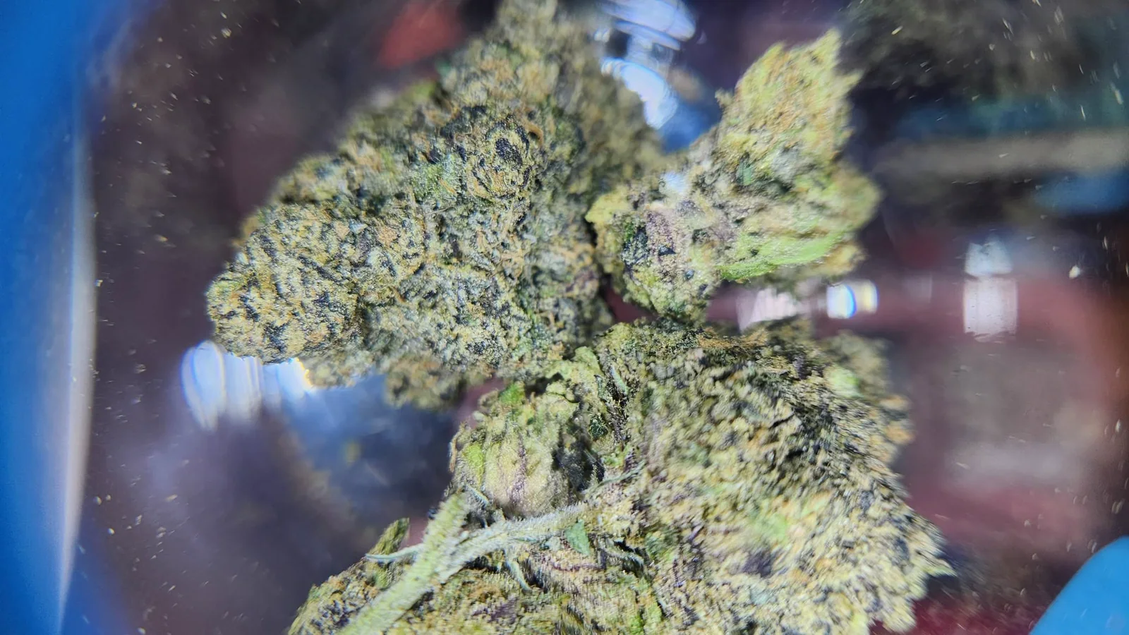 THCA flower