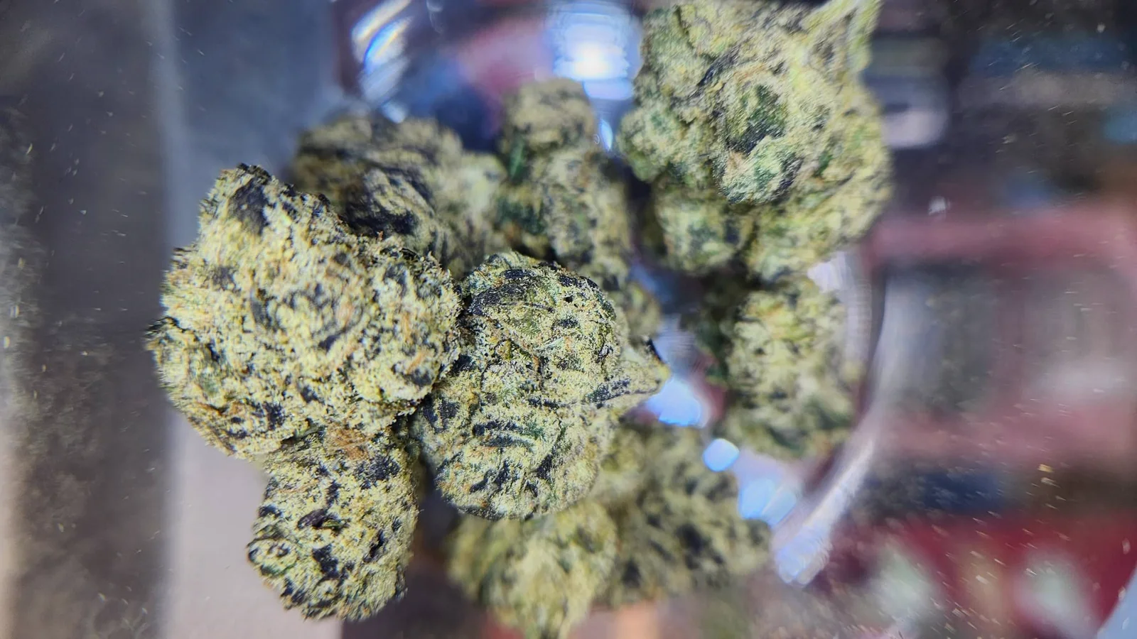 Close-up of THCA hemp flower at Crystal Palace VIP & Goods in Corpus Christi